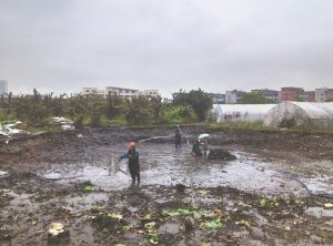 宿豫河道鱼塘清淤